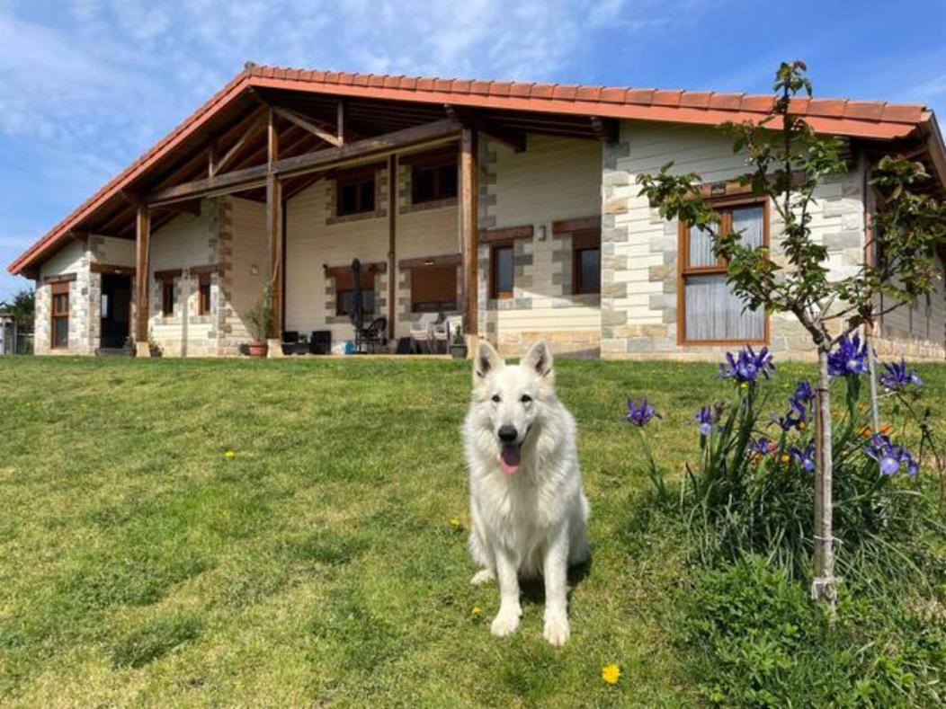 Holiday home Ven Y Disfruta En El Corazon De Bizkaia-urdaibai