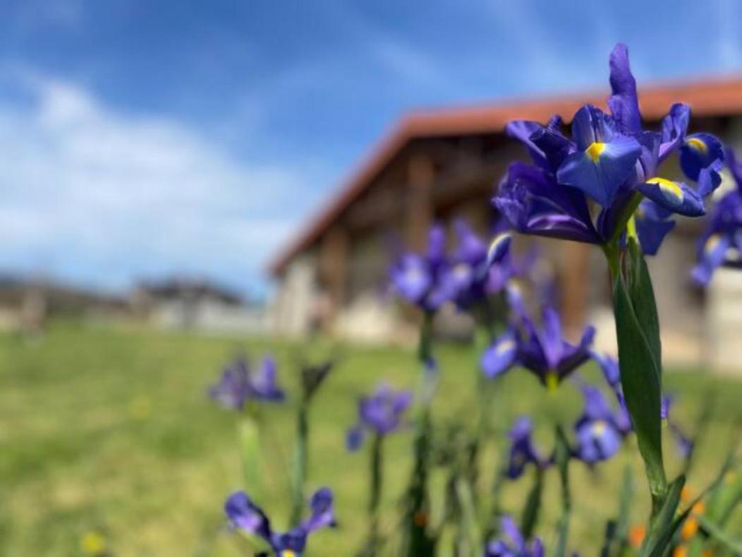 Ven Y Disfruta En El Corazon De Bizkaia-urdaibai Holiday home