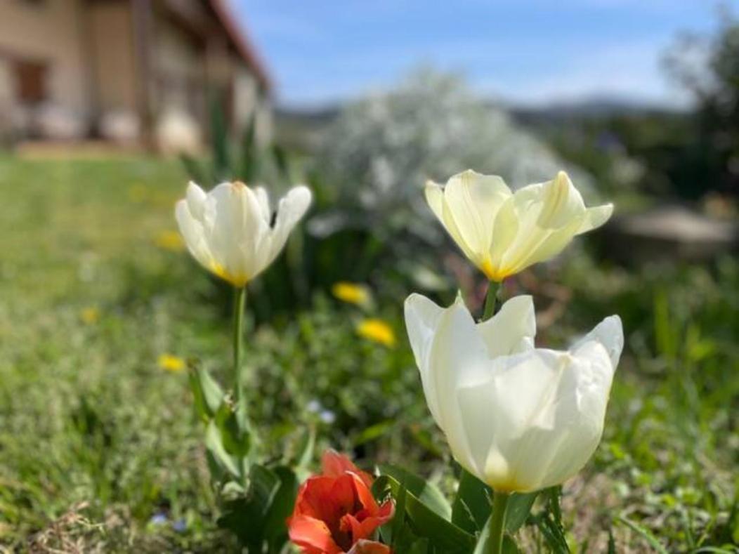 Holiday home Ven Y Disfruta En El Corazon De Bizkaia-urdaibai *